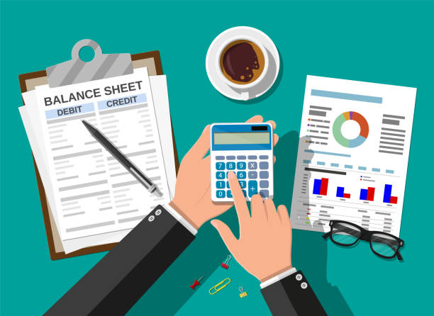 Accounting Basics: Balance Sheet Reports